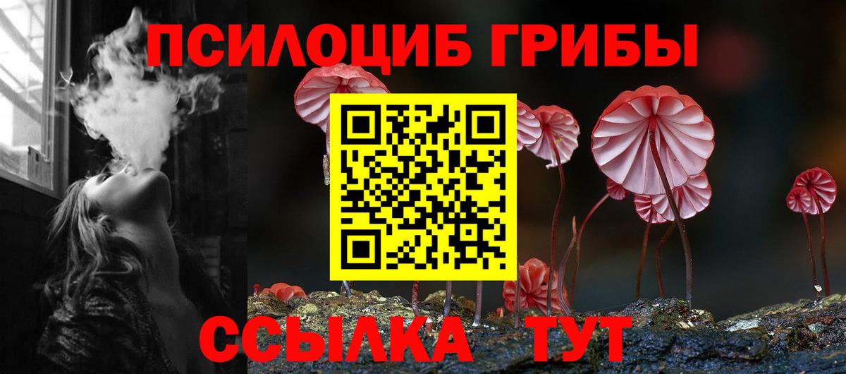 Новошахтинск  Галлюциногенные грибы Magic Shrooms  Галлюциногенные грибы Psilocybe  Вход с VPN 