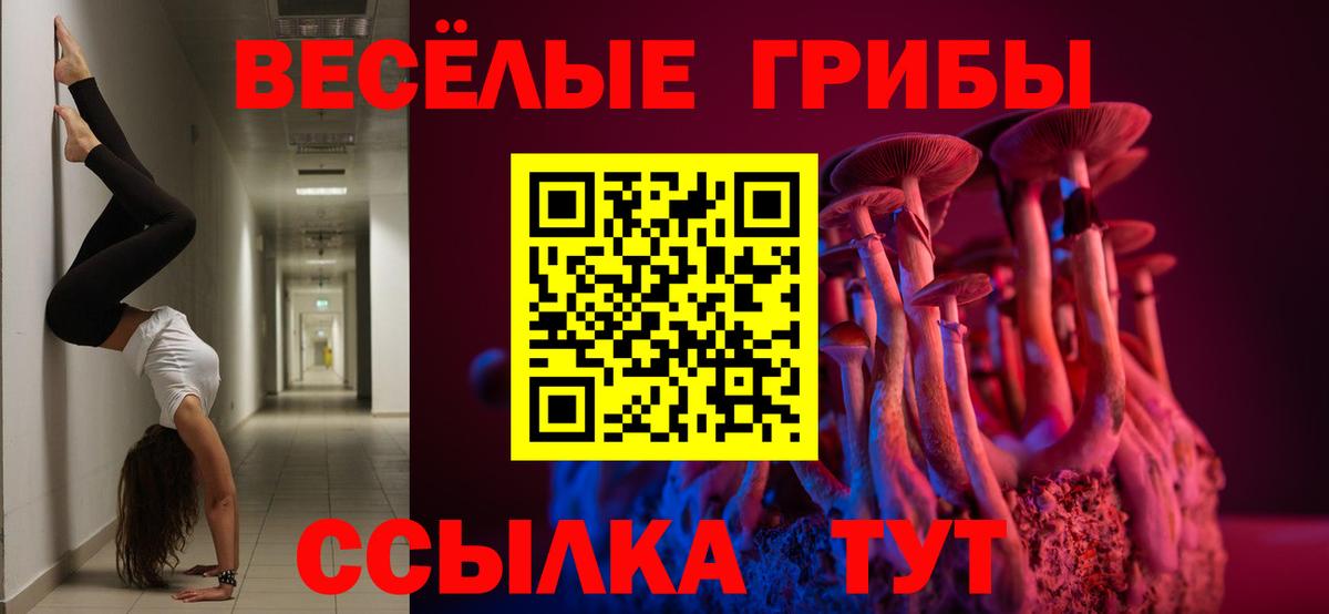 Псилоцибиновые грибы прущие грибы Новошахтинск
